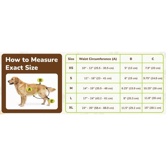 Pet Magasin Super Absorbent Washable Reusable Flamingo Patterned Dog Diaper SZ M - Picture 5 of 5